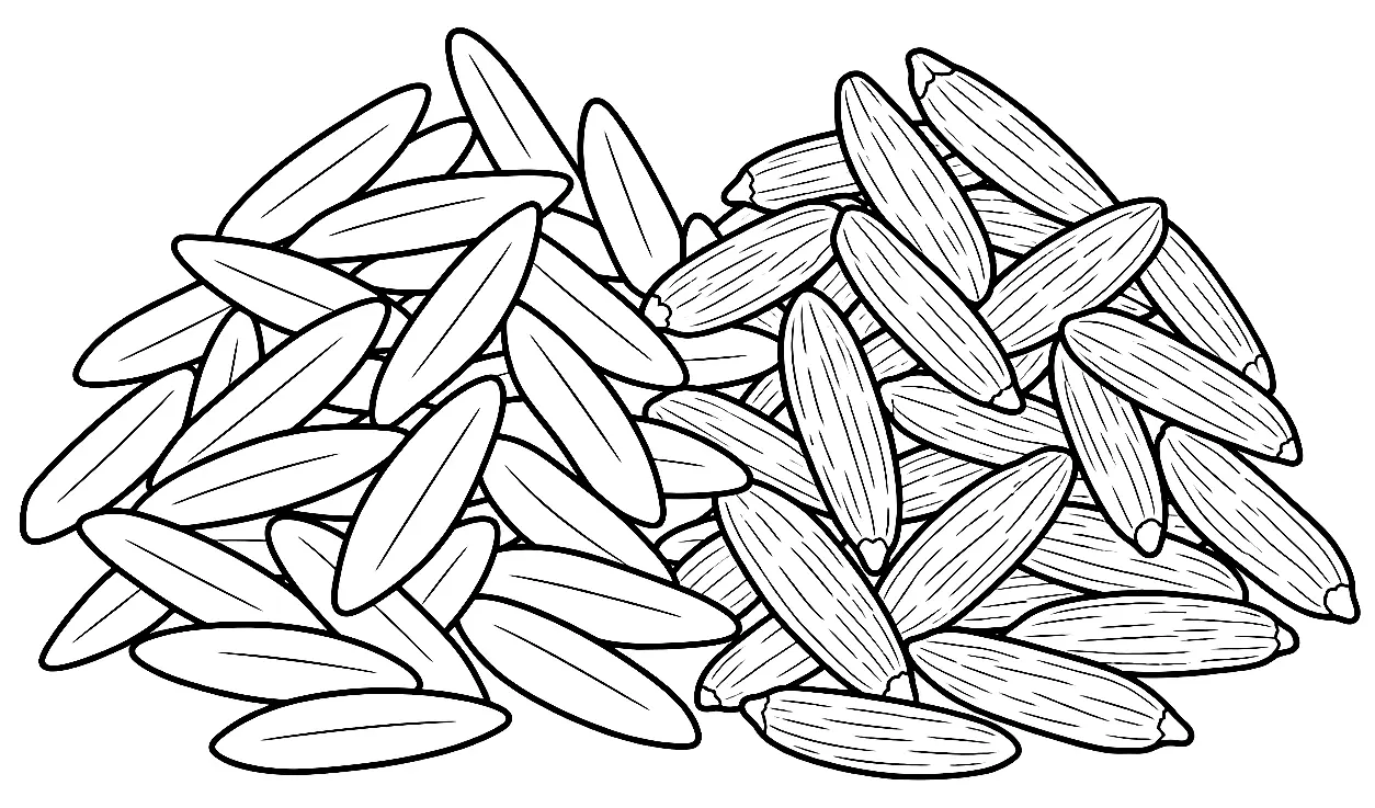 Coloriage de Basmati : dessin au trait noir à colorier