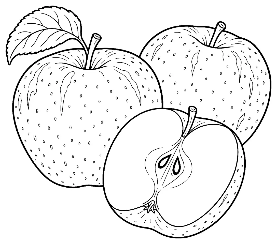 Coloriage de Belle de Boskoop (légume) : dessin au trait noir à colorier