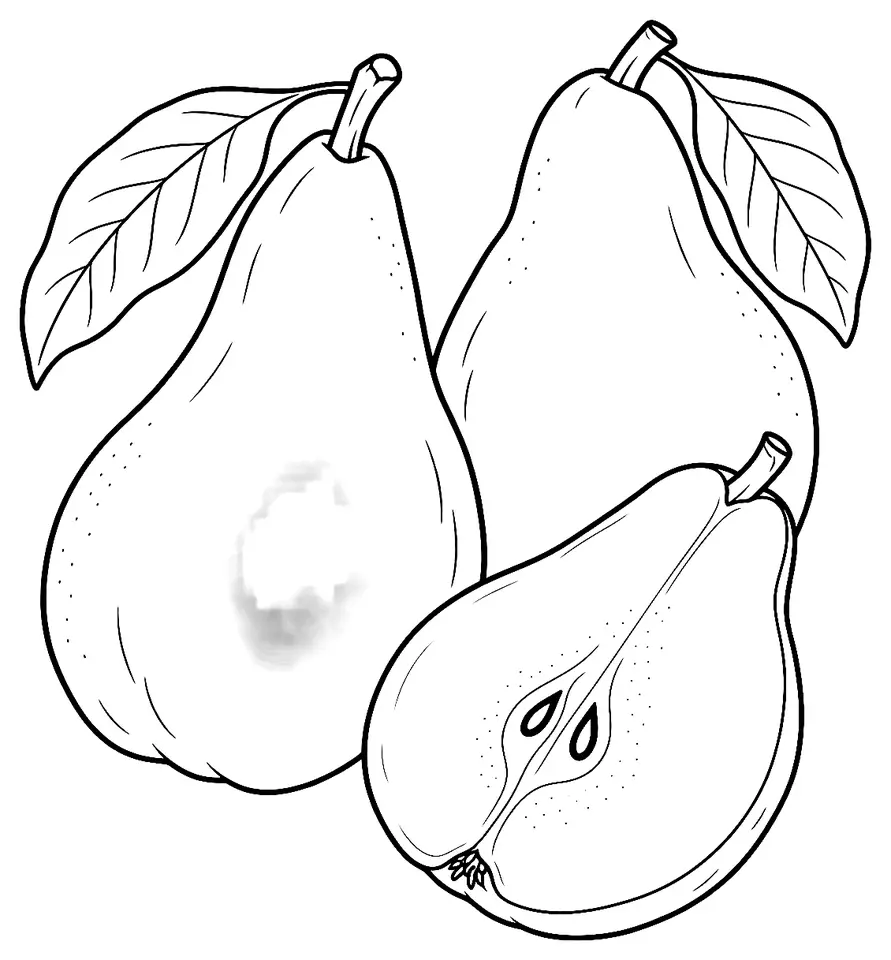 Coloriage de Beurré Clairgeau (légume) : dessin au trait noir à colorier