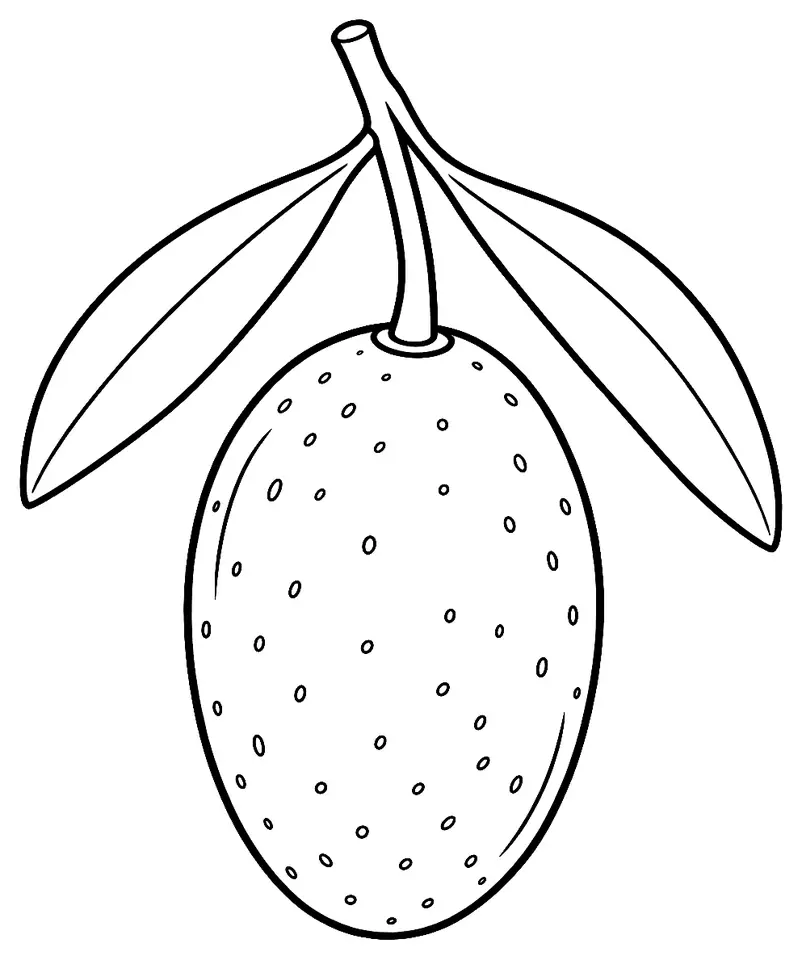 Coloriage de Bosana (légume) : dessin au trait noir à colorier
