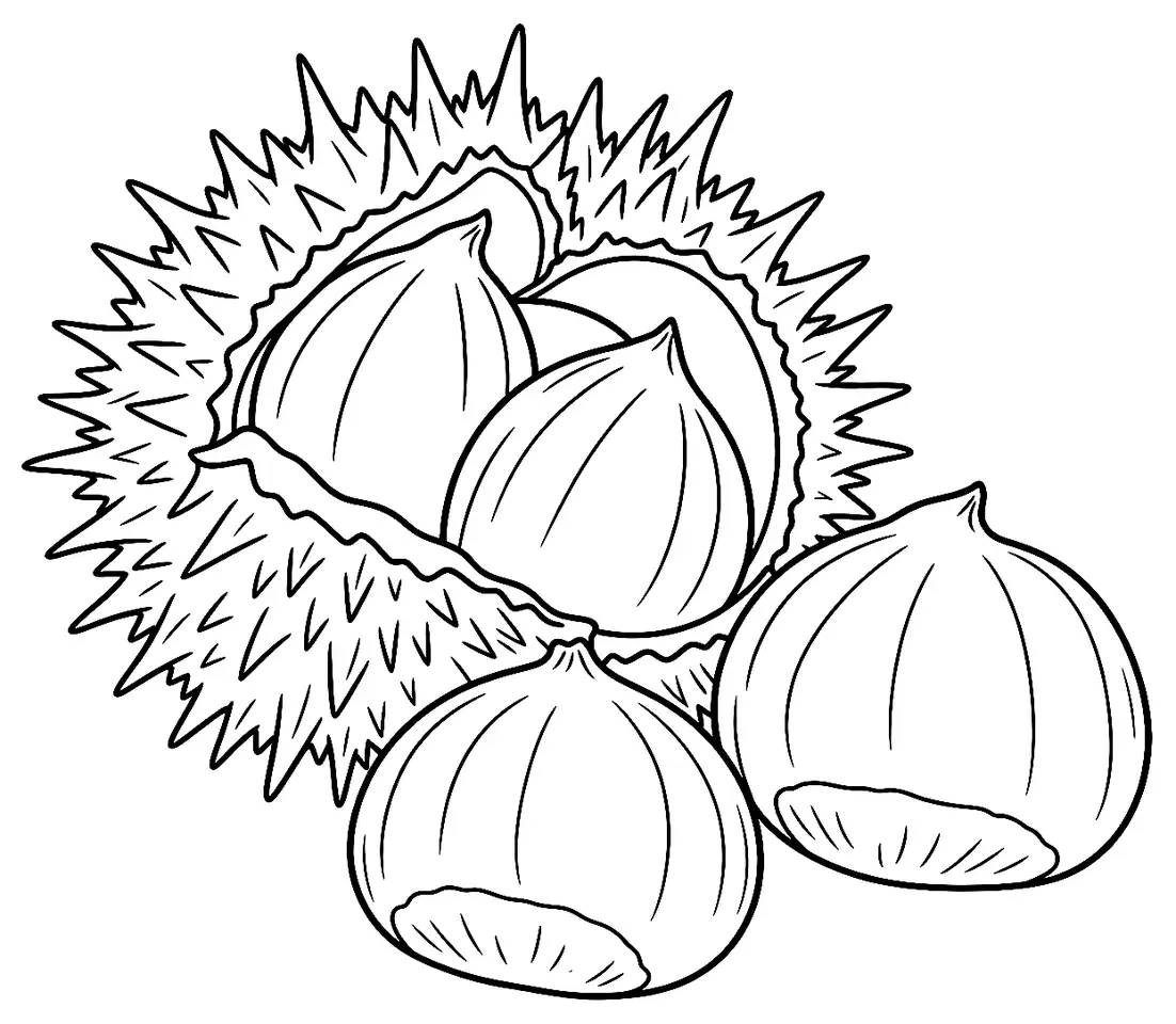Coloriage de Bournette (légume) : dessin au trait noir à colorier