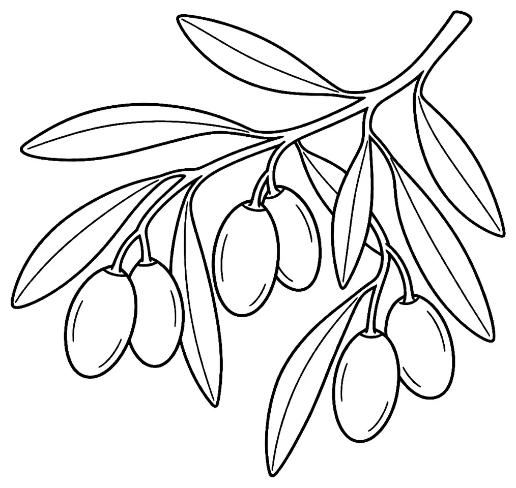 Coloriage de Cailletier (légume) : dessin au trait noir à colorier