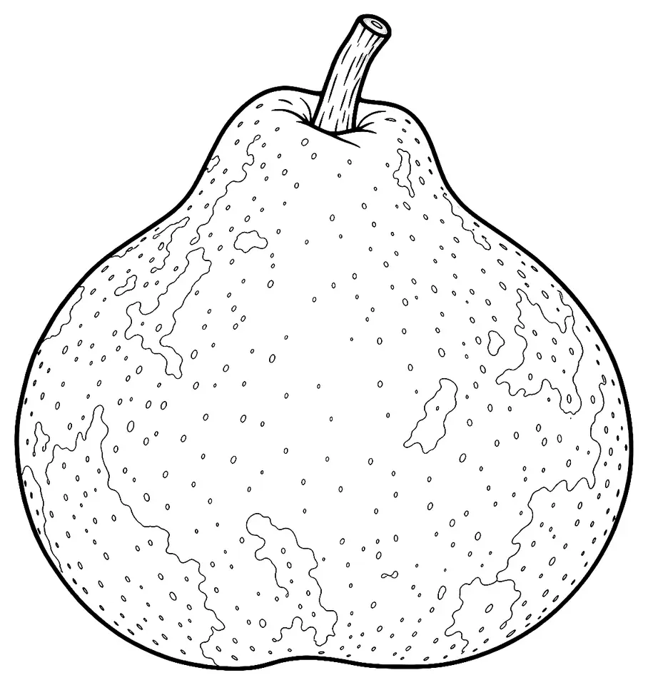 Coloriage de Catillac (légume) : dessin au trait noir à colorier