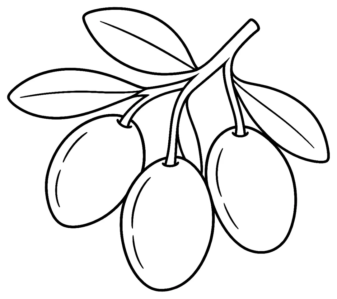 Coloriage de Cayon (légume) : dessin au trait noir à colorier