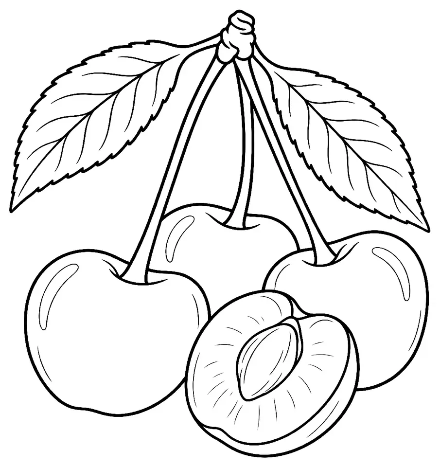 Coloriage de Cerise bigarreau Napoléon (légume) : dessin au trait noir à colorier
