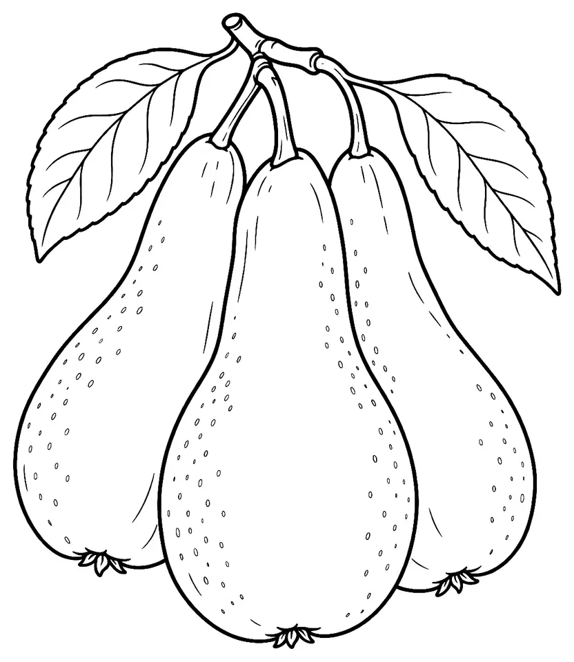 Coloriage de Concorde (légume) : dessin au trait noir à colorier