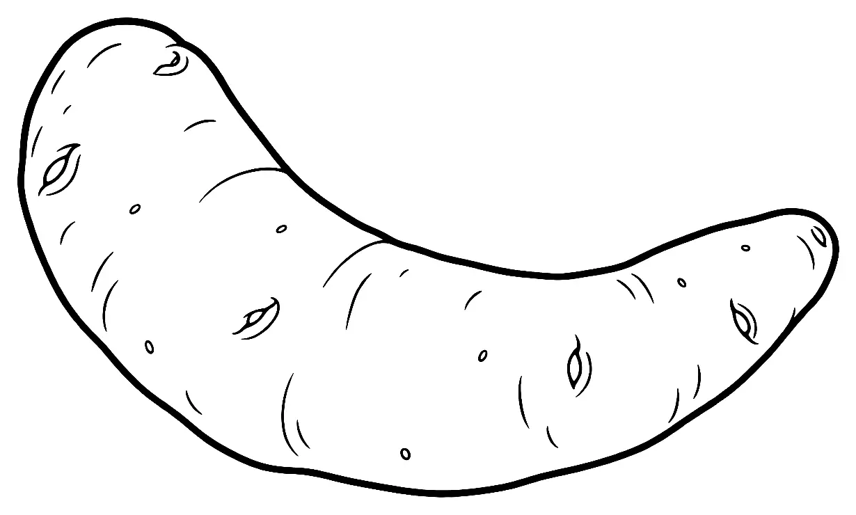 Coloriage de Corne de Bamberg (légume) : dessin au trait noir à colorier
