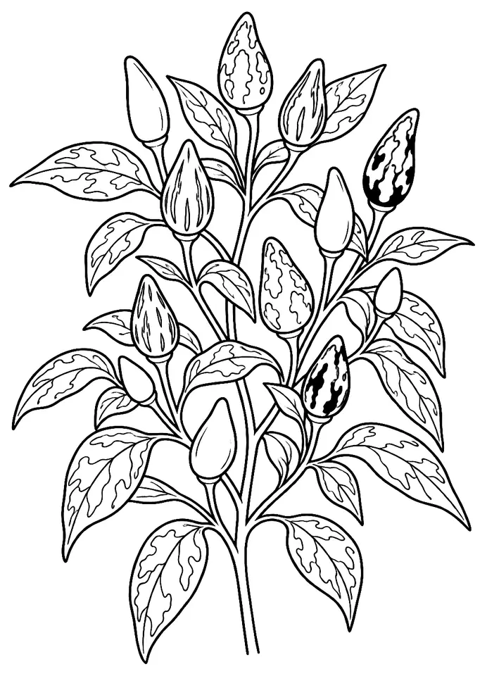 Coloriage de Fish pepper (légume) : dessin au trait noir à colorier