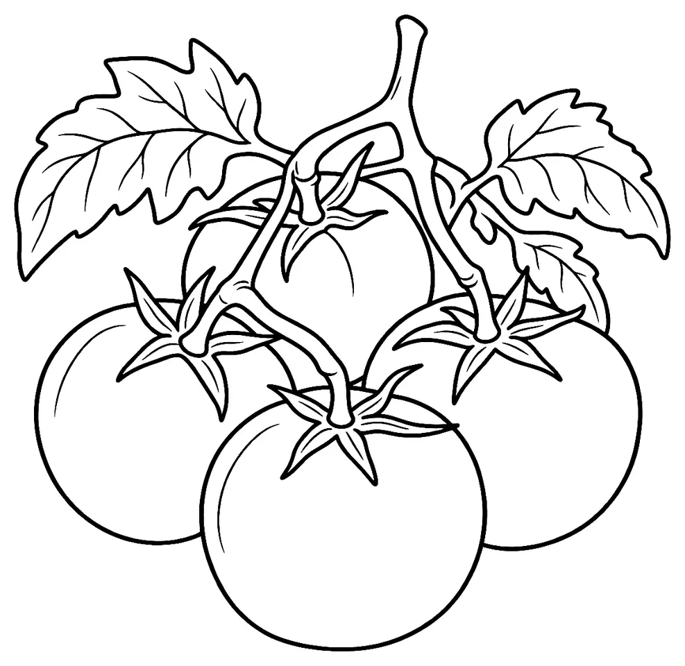 Coloriage de Flavr Savr (légume) : dessin au trait noir à colorier