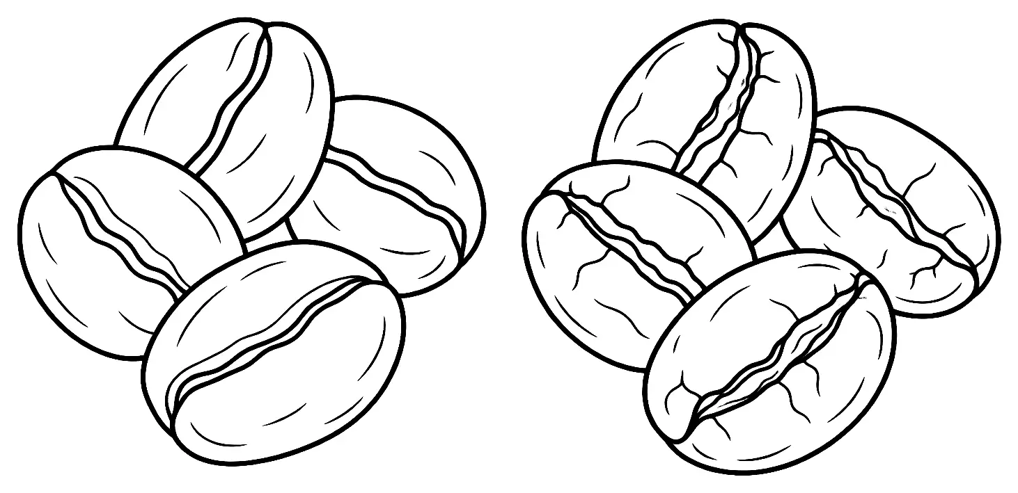 Coloriage de Java (légume) : dessin au trait noir à colorier