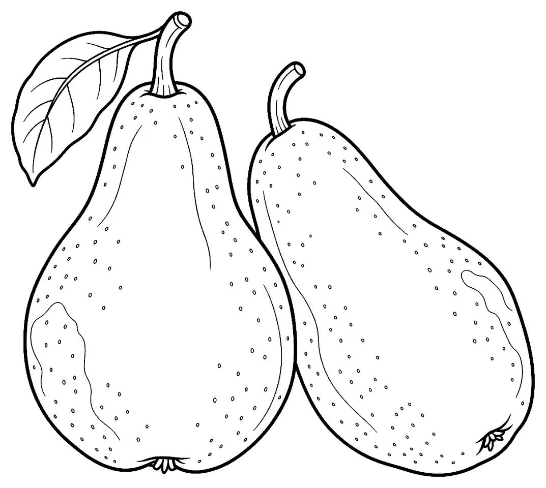 Coloriage de Louise Bonne (légume) : dessin au trait noir à colorier