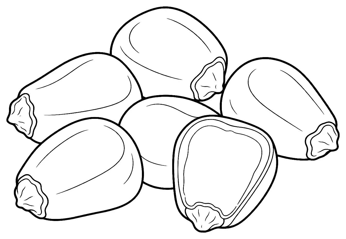 Coloriage de Maïs cireux : dessin au trait noir à colorier