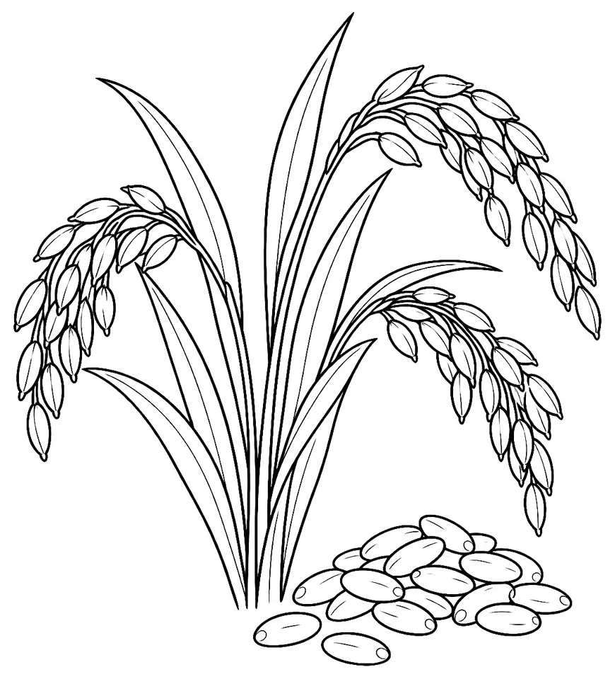 Coloriage de Maratelli : dessin au trait noir à colorier