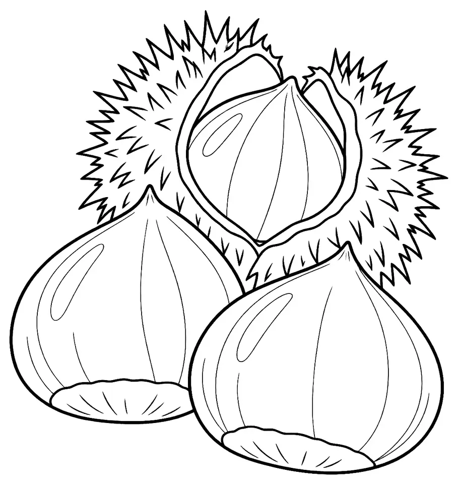 Coloriage de Maraval (légume) : dessin au trait noir à colorier