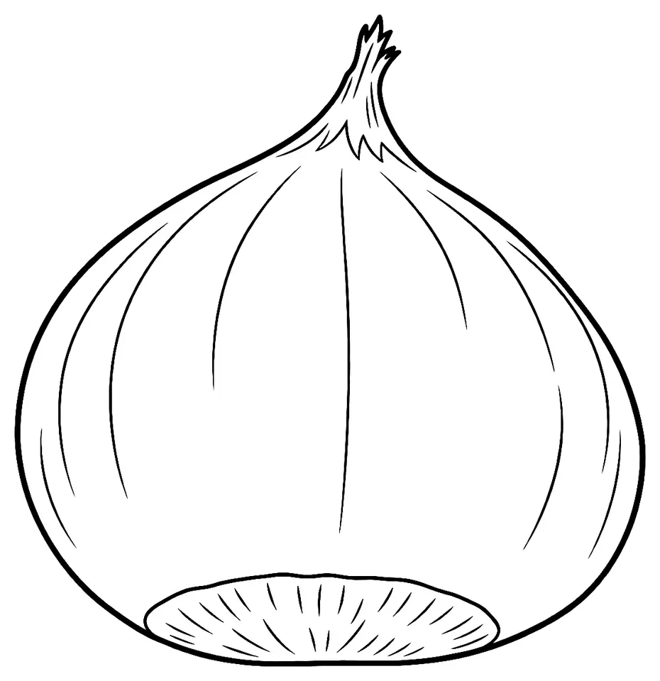 Coloriage de Marlhac (légume) : dessin au trait noir à colorier