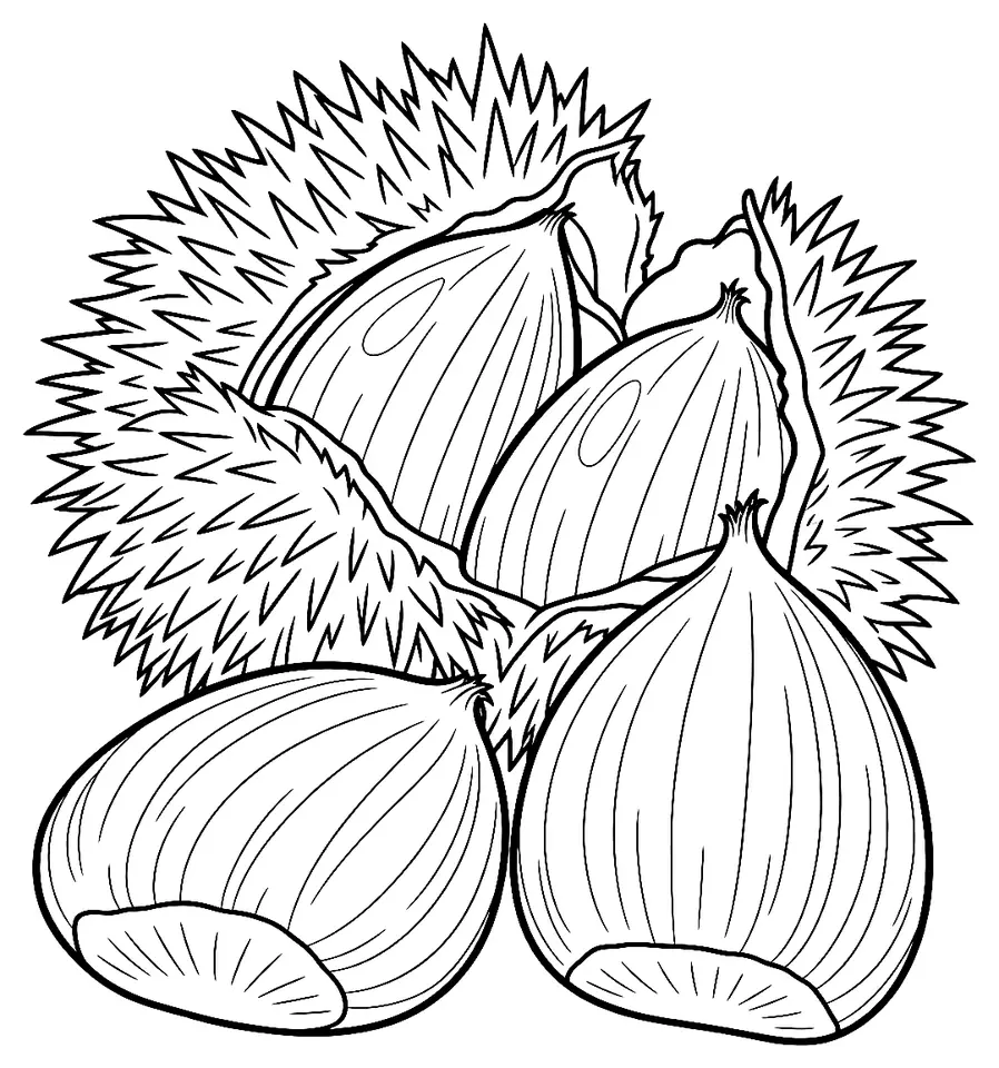 Coloriage de Marron de Goujounac (légume) : dessin au trait noir à colorier
