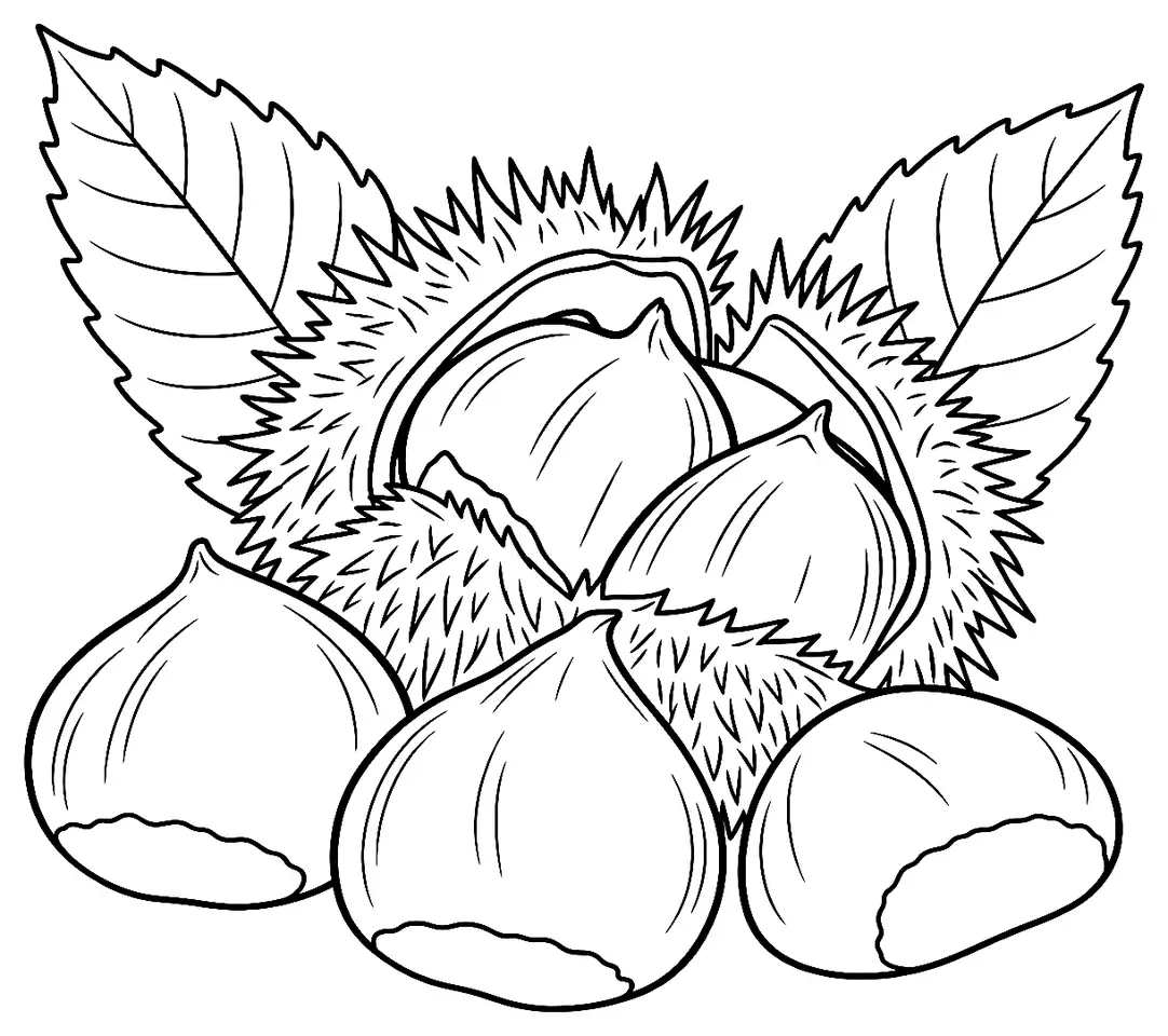 Coloriage de Marron de Laguépie : dessin au trait noir à colorier