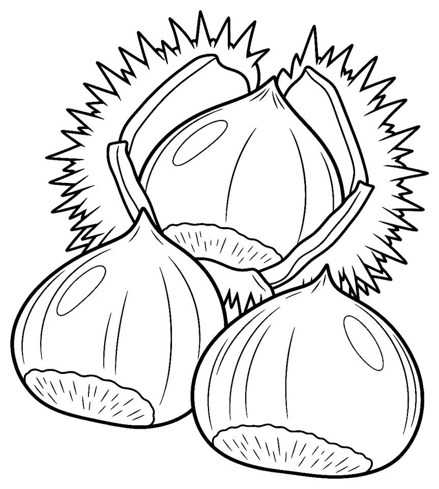Coloriage de Marsol (légume) : dessin au trait noir à colorier