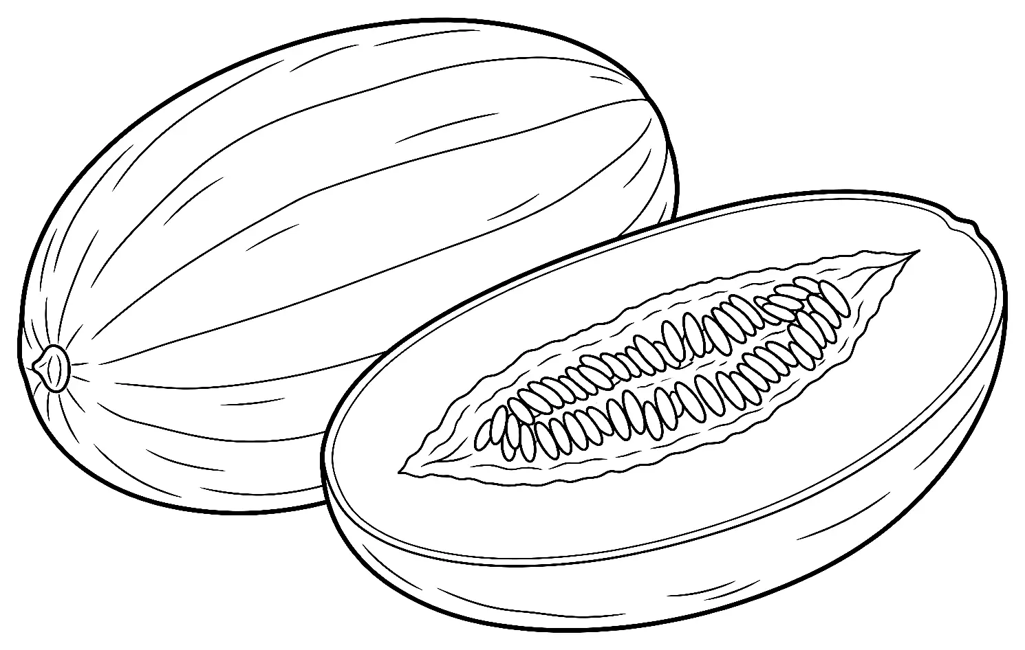 Coloriage de Melon canari : dessin au trait noir à colorier