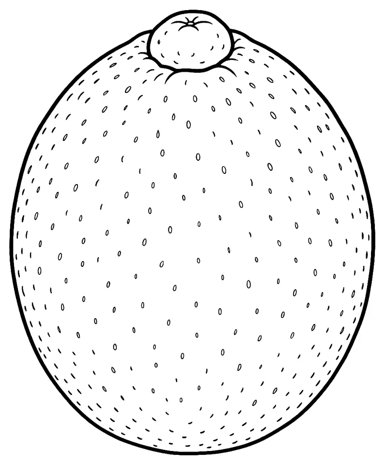Coloriage de Navel : dessin au trait noir à colorier