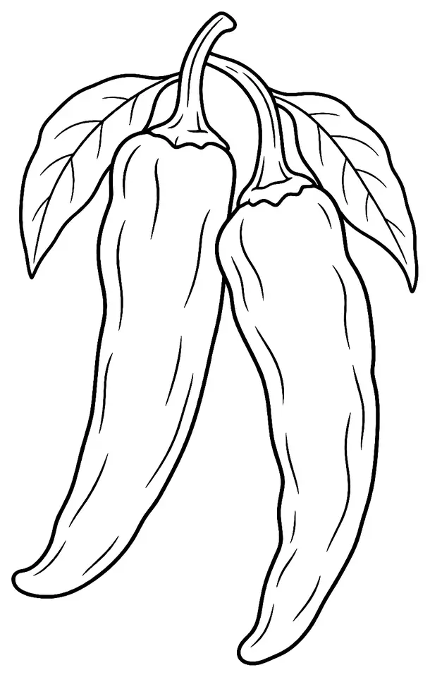 Coloriage de Piment du Nouveau-Mexique (légume) : dessin au trait noir à colorier