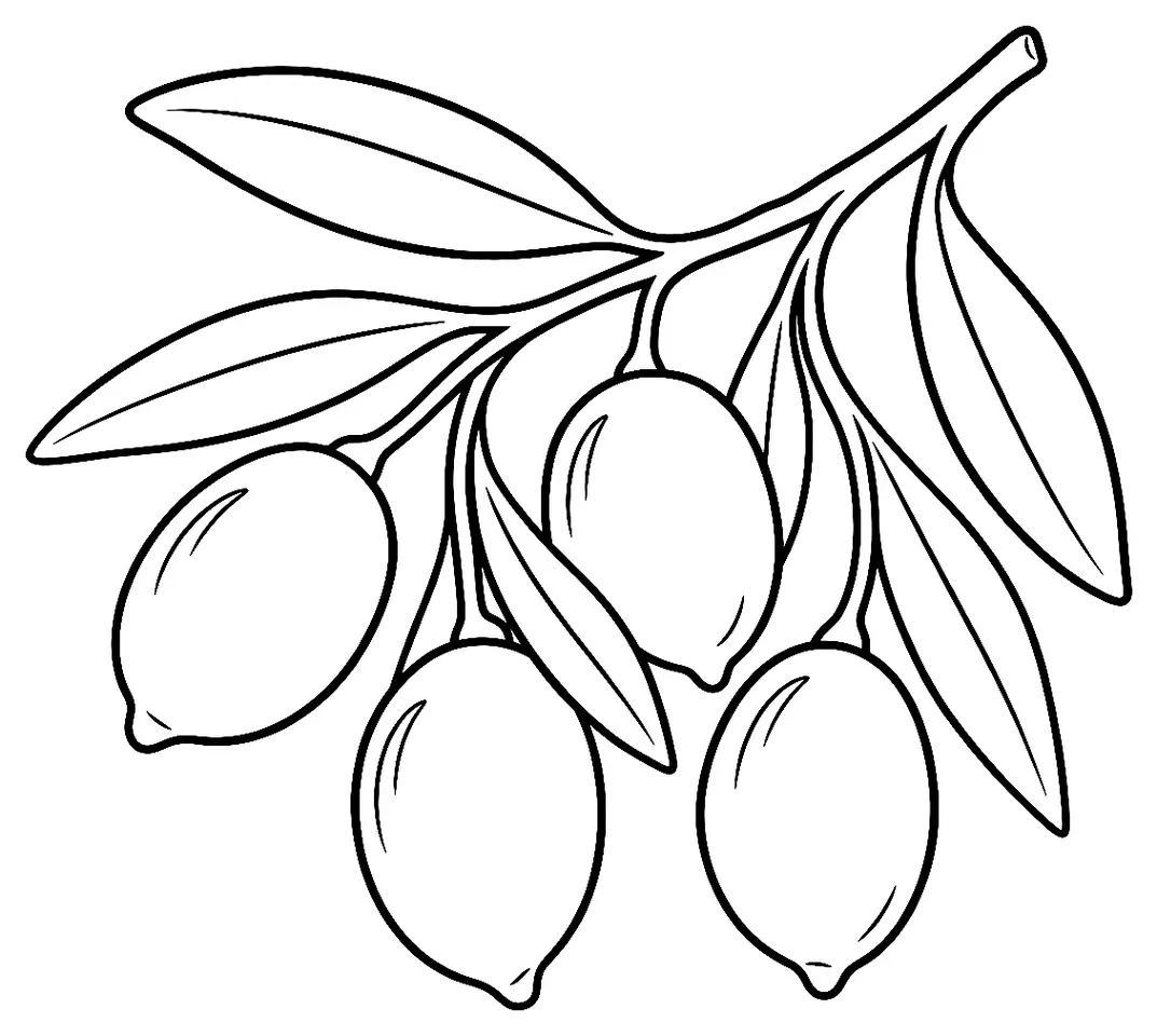 Coloriage de Olivière (légume) : dessin au trait noir à colorier