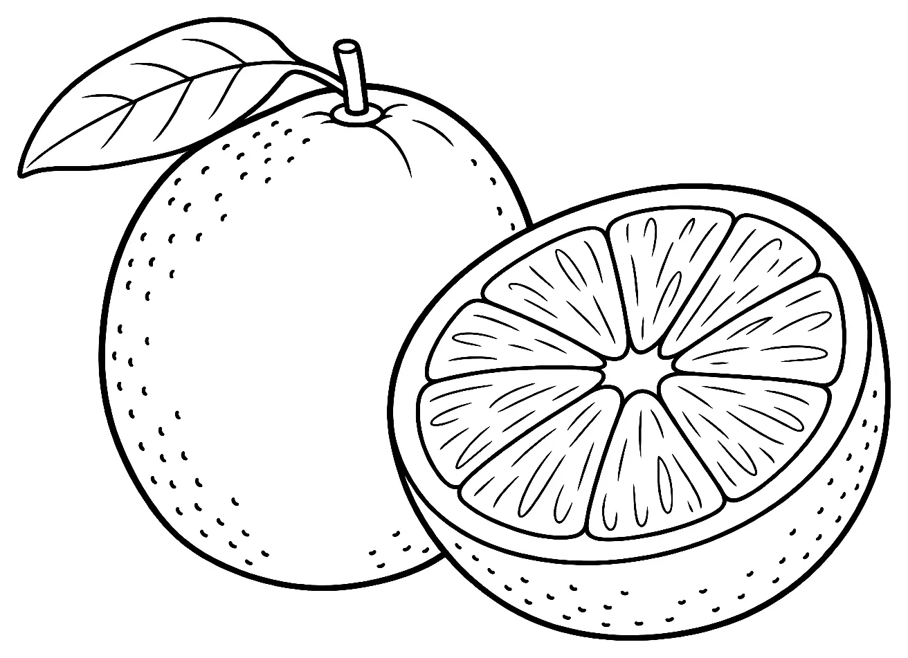 Coloriage de Orange maltaise : dessin au trait noir à colorier
