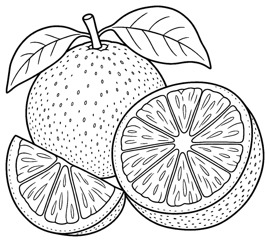 Coloriage de Orange sanguine : dessin au trait noir à colorier