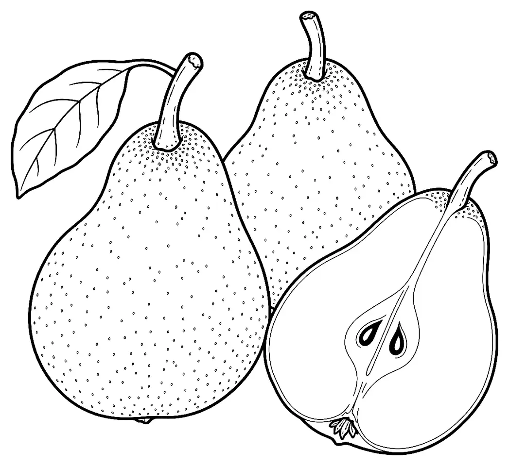 Coloriage de Pêra Rocha do Oeste (légume) : dessin au trait noir à colorier