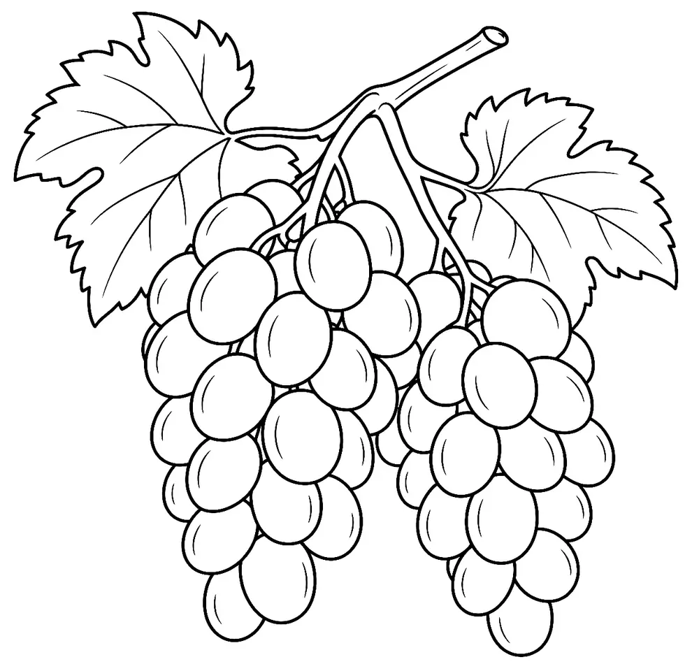 Coloriage de Perle de Csaba : dessin au trait noir à colorier
