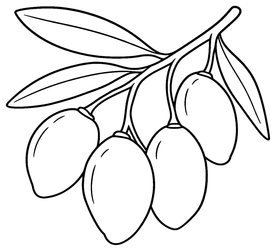 Coloriage de Picholine (légume) : dessin au trait noir à colorier