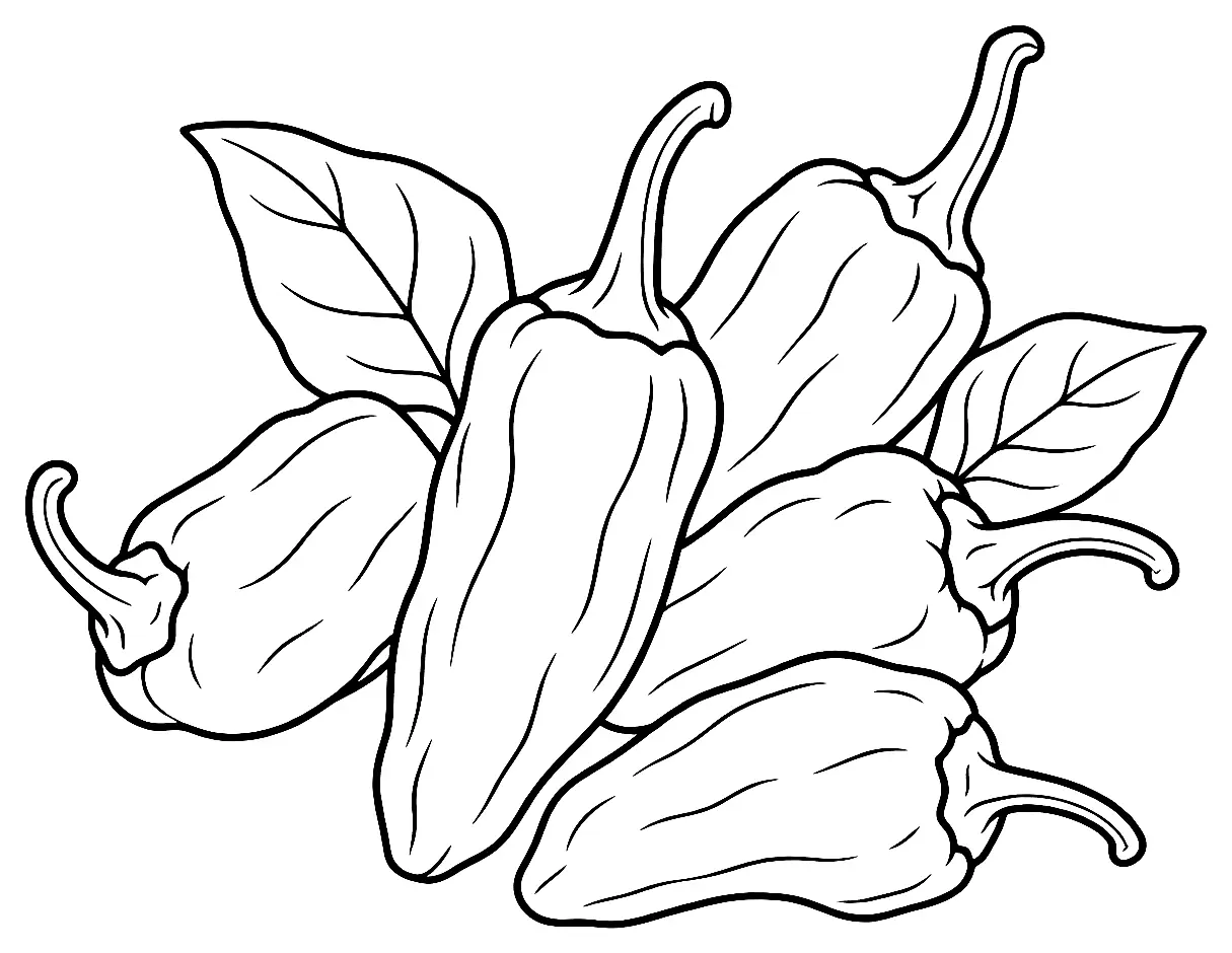 Coloriage de Piment de Padrón (légume) : dessin au trait noir à colorier