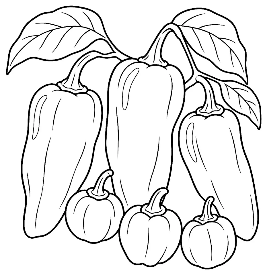 Coloriage de Piment végétarien (légume) : dessin au trait noir à colorier