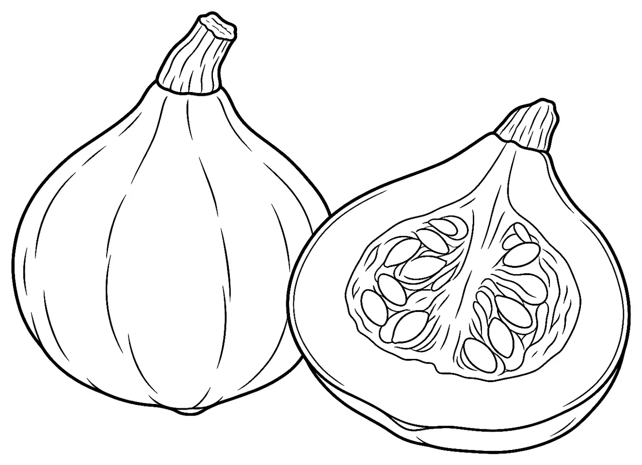 Coloriage de Potimarron : dessin au trait noir à colorier