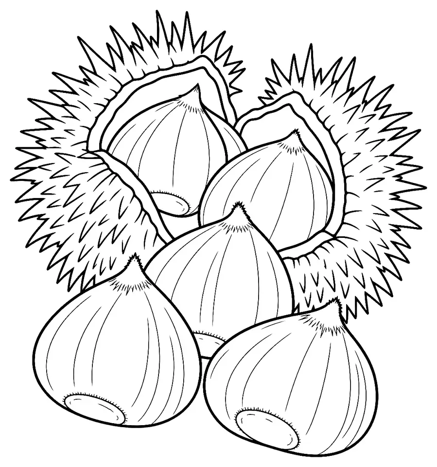 Coloriage de Pourette (légume) : dessin au trait noir à colorier