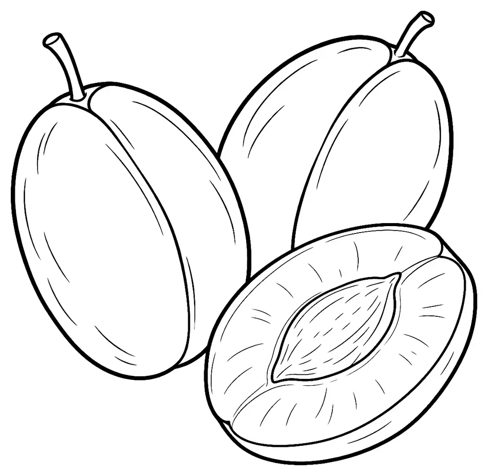 Coloriage de Prunier d’ente (légume) : dessin au trait noir à colorier