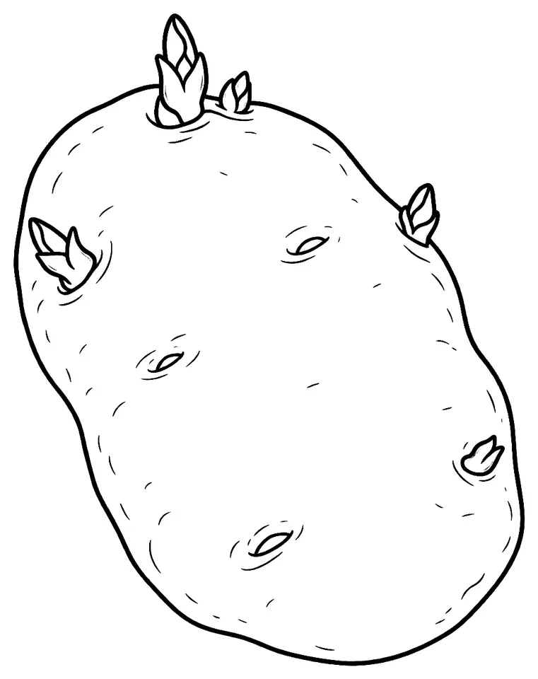 Coloriage de Quarantina bianca genovese (légume) : dessin au trait noir à colorier
