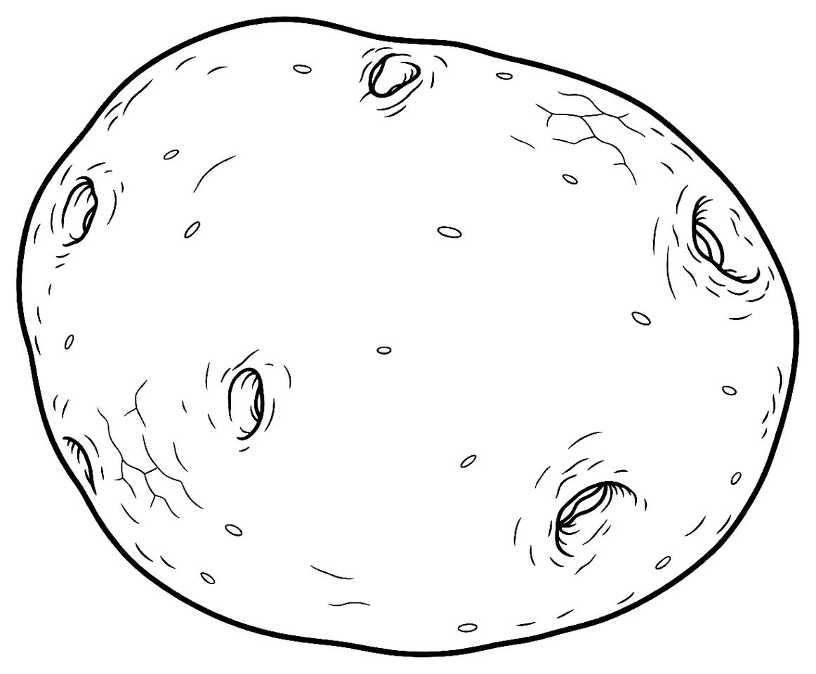 Coloriage de Red Pontiac (légume) : dessin au trait noir à colorier