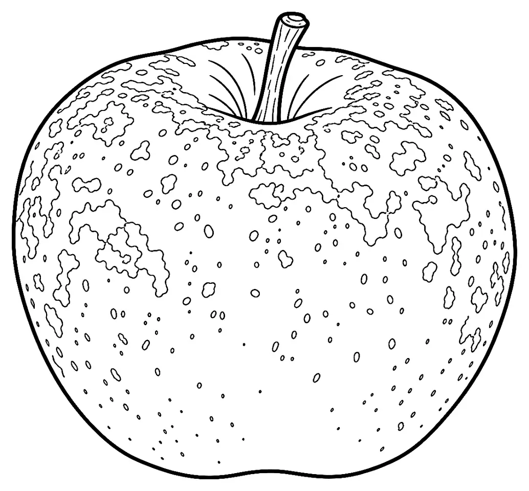Coloriage de Reinette du Canada (légume) : dessin au trait noir à colorier