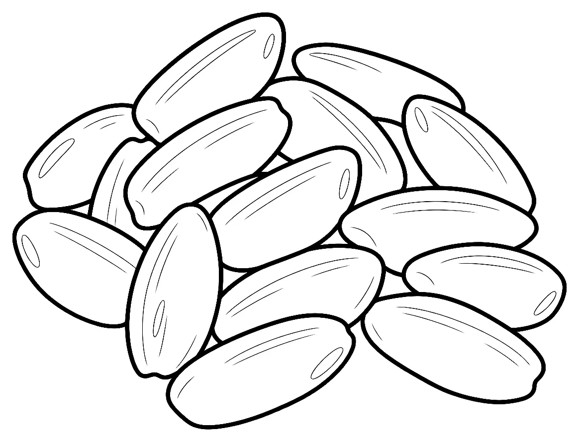 Coloriage de Riz Calrose : dessin au trait noir à colorier