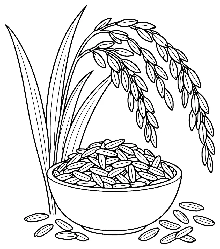 Coloriage de Riz de Camargue (légume) : dessin au trait noir à colorier