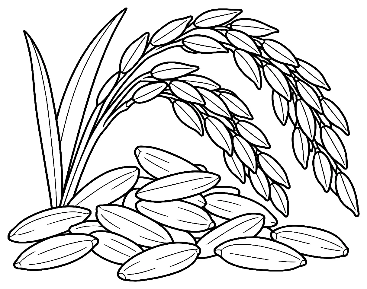 Coloriage de Riz doré : dessin au trait noir à colorier