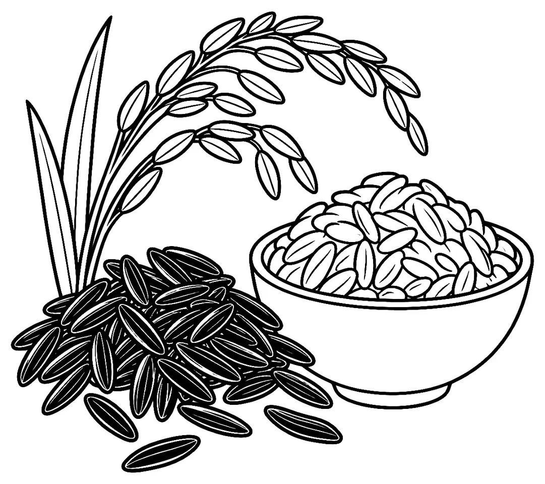 Coloriage de Riz noir : dessin au trait noir à colorier