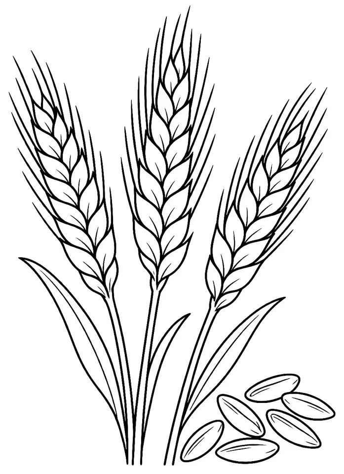 Coloriage de Russello : dessin au trait noir à colorier