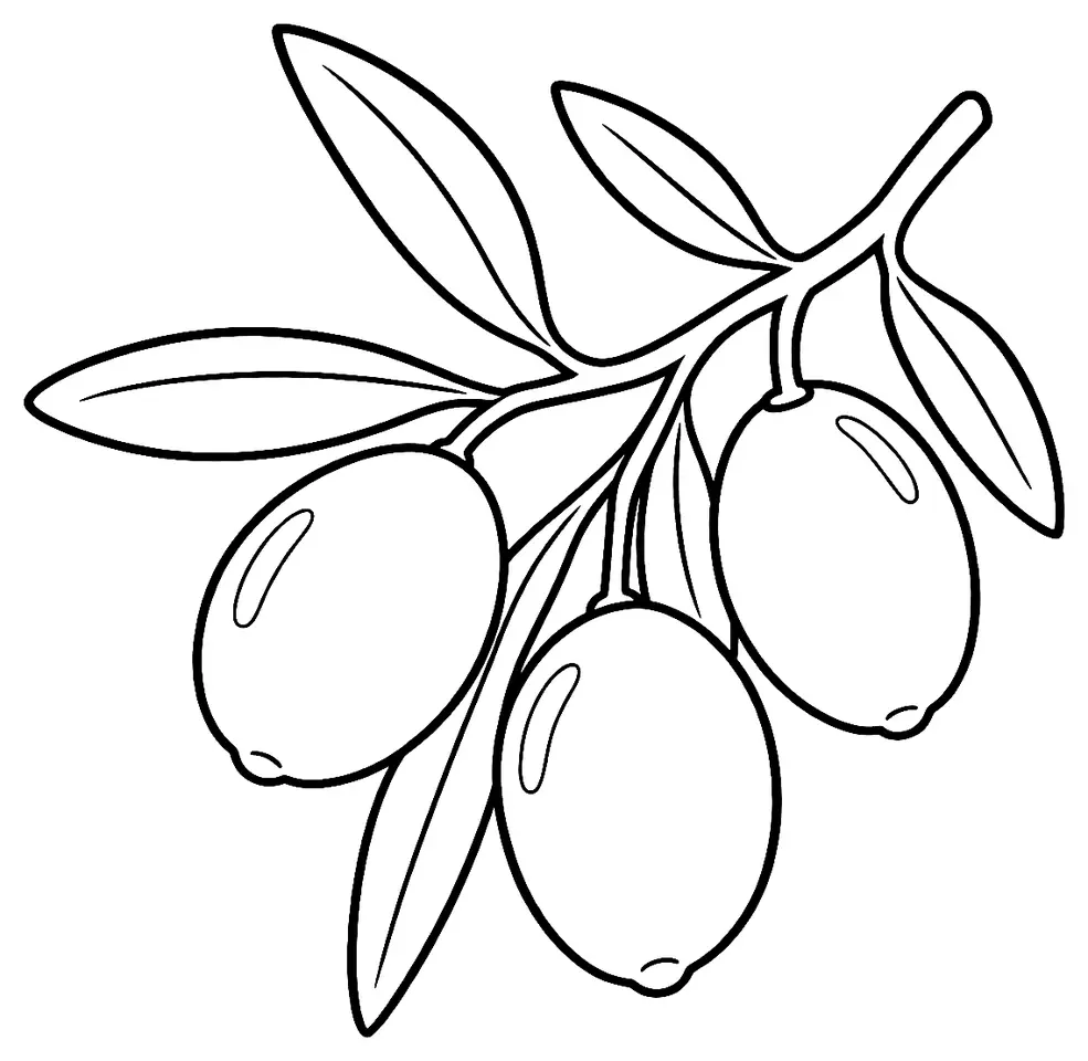Coloriage de Salonenque (légume) : dessin au trait noir à colorier