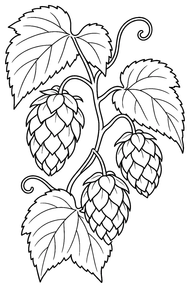 Coloriage de Taiheke : dessin au trait noir à colorier