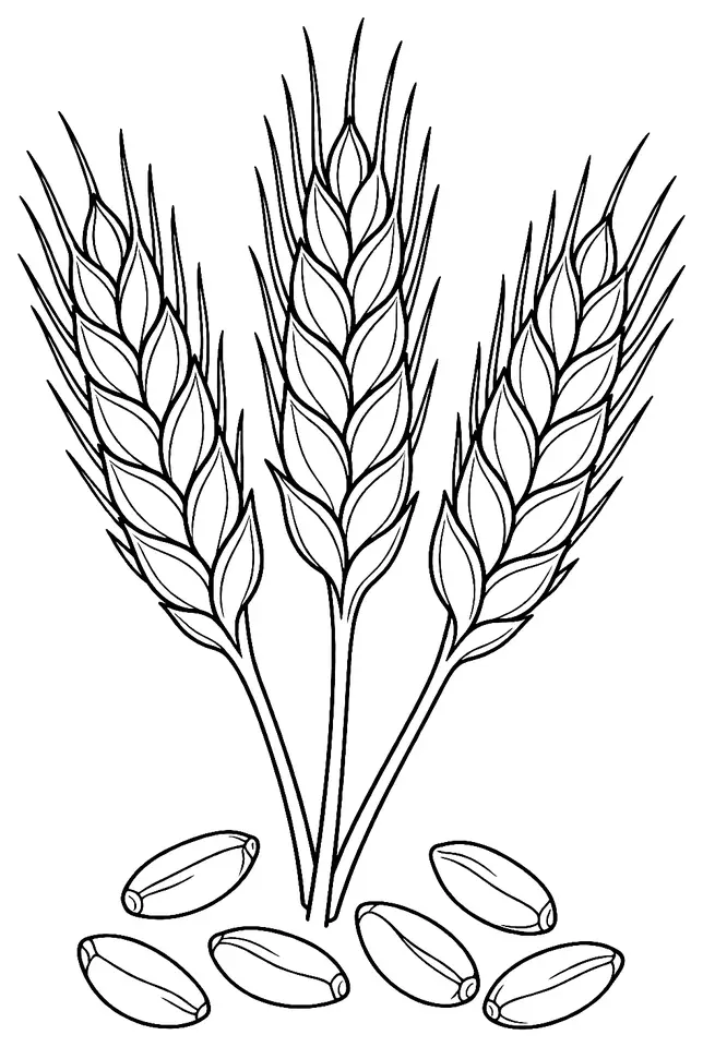 Coloriage de Timilia : dessin au trait noir à colorier