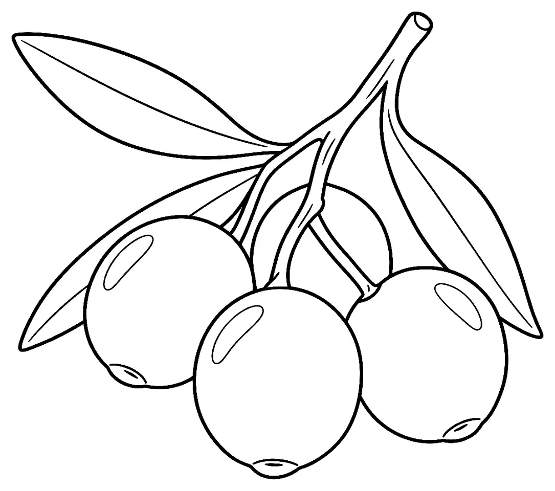 Coloriage de Verdale-de-l’Hérault (légume) : dessin au trait noir à colorier