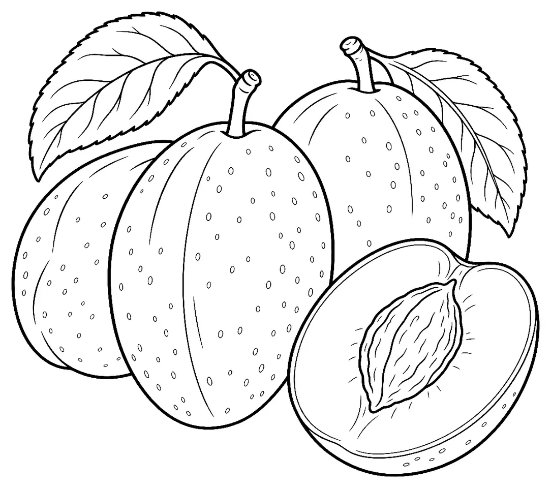 Coloriage de Victoria (légume) : dessin au trait noir à colorier