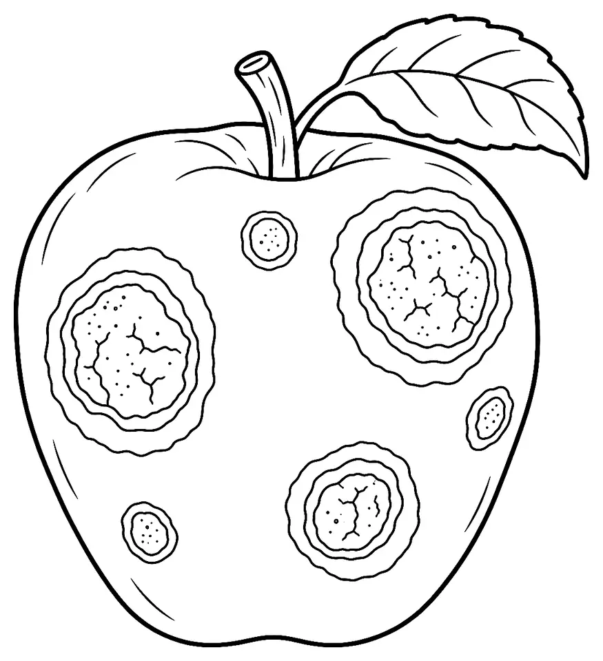 Coloriage de Anthracnose : dessin au trait noir à colorier